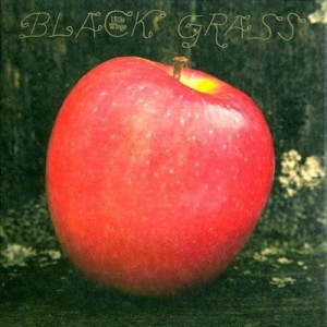 Little Wings - Black Grass (VÖ: 25.02.2011), RAD, Marriage Records, Kyle Field